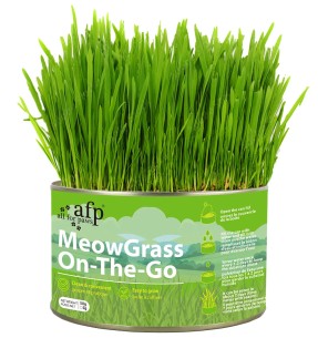 Kassimuru plekkpurgis MeowGrass On-The-Go (AFP – Green Rush)