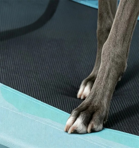 Kokkupandav kõrgendatud koeravoodi Foldable Cot (AFP - Outdoor Dog)
