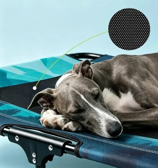 Kokkupandav kõrgendatud koeravoodi Foldable Cot (AFP - Outdoor Dog)