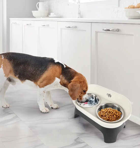 Kaheosalina kauss kõrge servaga, plastikust alusel (AFP - Lifestyle 4 Pets)