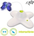 Interaktiivne mänguasi kassile Flutter Bug (AFP)