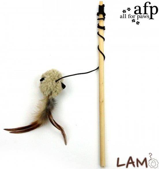 Mänguasi kassile Flying Mouse (AFP)