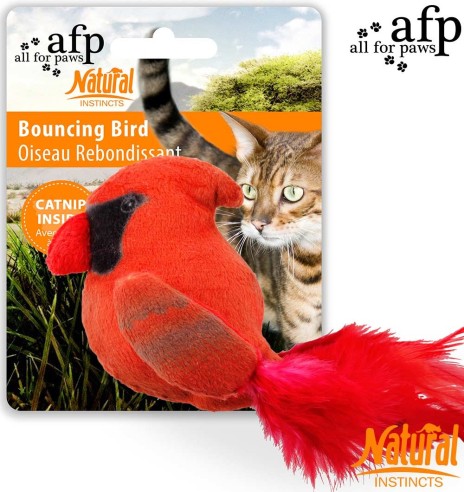 Mänguasi kassile Bouncing Bird (AFP - Natural Instincts)