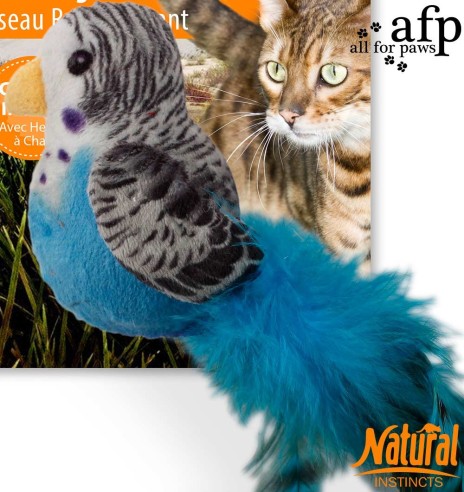 Mänguasi kassile Bouncing Bird (AFP - Natural Instincts)