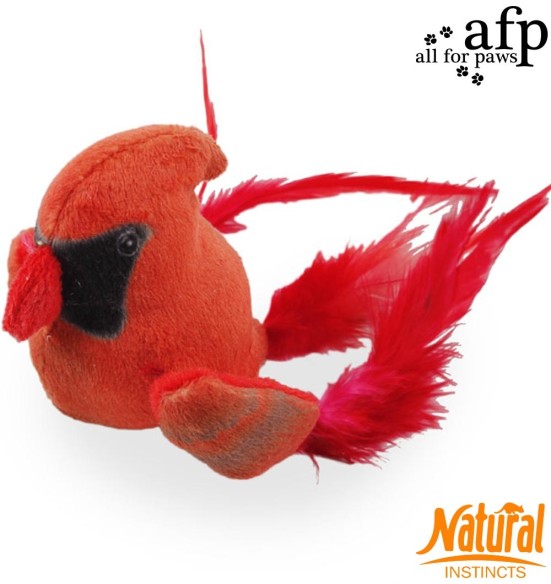 Mänguasi kassile Bouncing Bird (AFP - Natural Instincts)