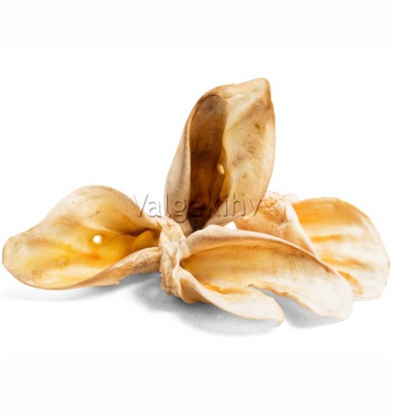 Veise kõrvad valged - naturaalsed koeranäksid, kuivatatud maius koerale