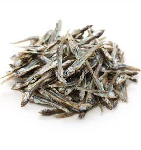 Lassosilmusega jalutusrihm koerale, nailonist, 1.5 m x 6/10/14 mm Run Around Lasso (Doogy)–Lasso-rihmad–Doogy–Valgekihv 2