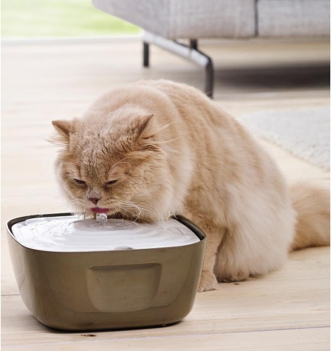 Jooginõu voolava veega - purskkaev VOLCANO kassile või väikesele koerale (Savic)