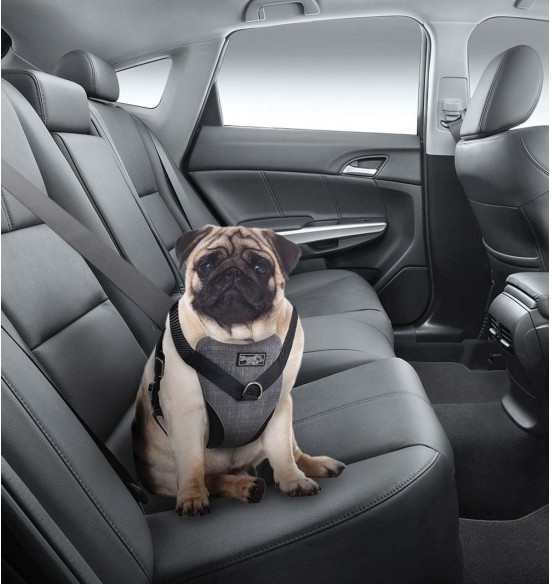 Traksid koerale turvaliseks autosõiduks ja jalutamiseks (AFP - Travel Dog) Traksid koerale turvaliseks autosõiduks ja jalutamiseks (AFP - Travel Dog)