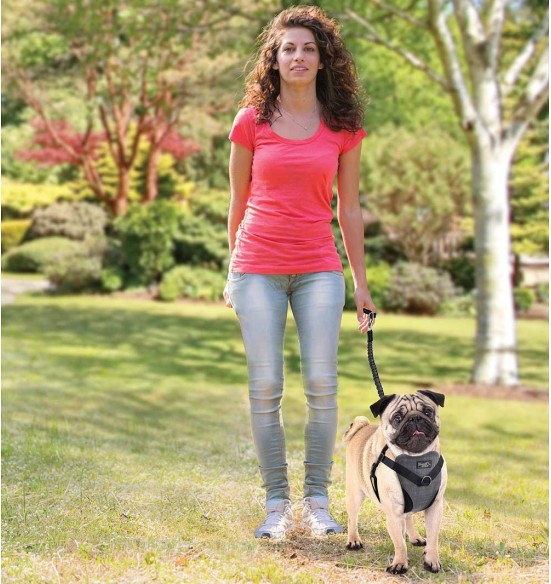 Traksid koerale turvaliseks autosõiduks ja jalutamiseks (AFP - Travel Dog) Traksid koerale turvaliseks autosõiduks ja jalutamiseks (AFP - Travel Dog)