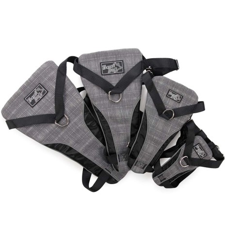 Traksid koerale turvaliseks autosõiduks ja jalutamiseks (AFP - Travel Dog)