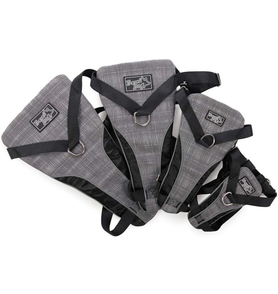 Traksid koerale turvaliseks autosõiduks ja jalutamiseks (AFP - Travel Dog)