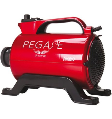 Puhur koera kuivatamiseks Diablo, 2200 W