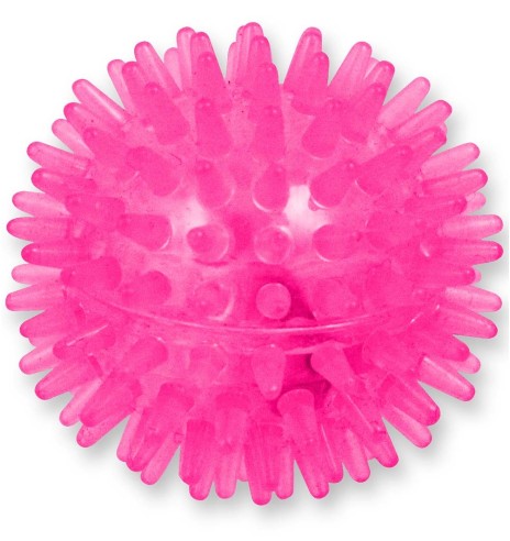 Mänguasi kassile Flash Ball (AFP - Modern Cat)