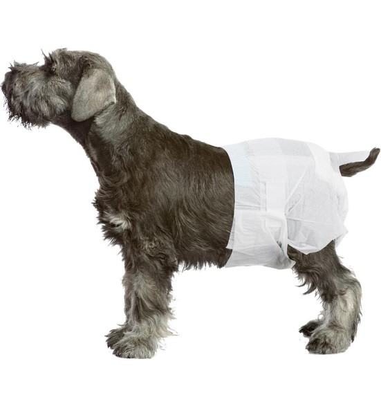 Mähkmed koertele, valged, ühekordselt kasutatavad (Pawise)