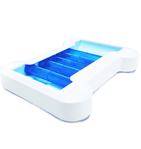 Interaktiivne mänguasi kandiline (Pawise)