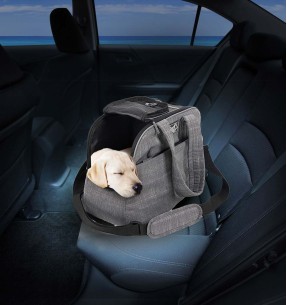 Koera jalutusrihm nailonrihm Classic, 1.1–1.8 m, hall (Red Dingo)–Tekstiilist–Red Dingo–Valgekihv 2