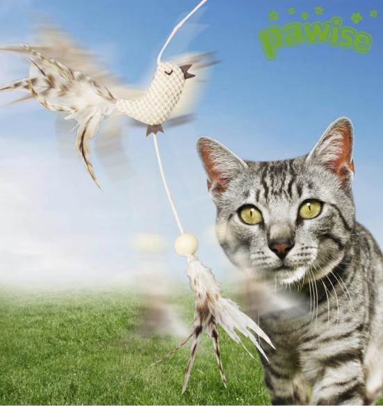 Mänguasi kassile Nature First (Pawise)