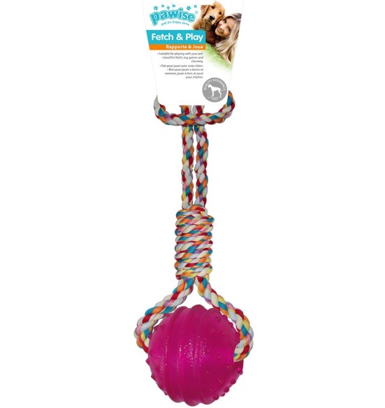 Mänguasi koerale, pall käepidemega (Pawise)