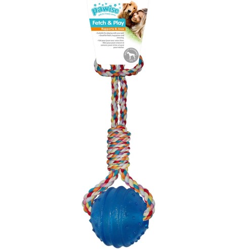 Mänguasi koerale, pall käepidemega (Pawise)