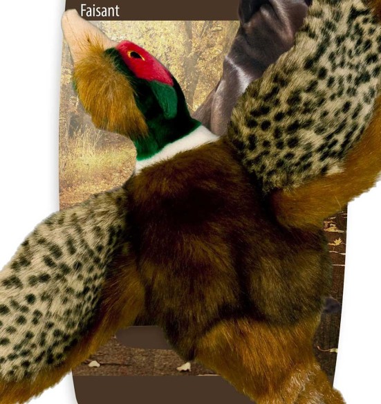 Mänguasi koerale faasan (AFP - Classic)