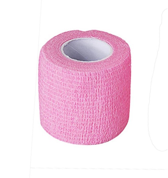 Elastikside koerale Chadog