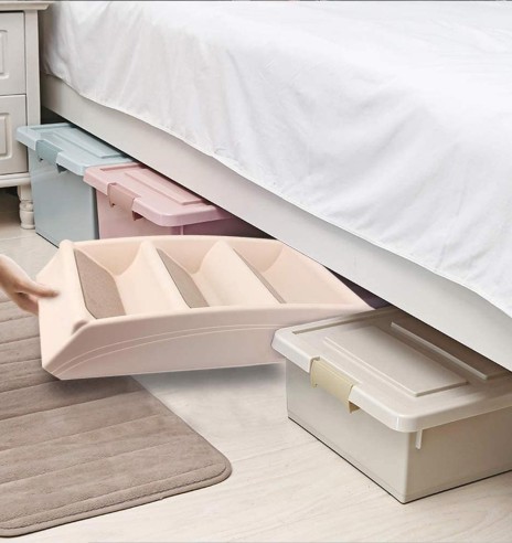 Trepp koerale (AFP - Pawise)