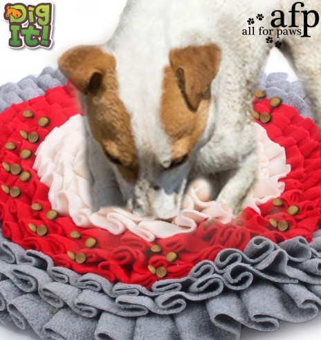 Nuuskimismatt koerale, ümmargune (AFP - Dig It)