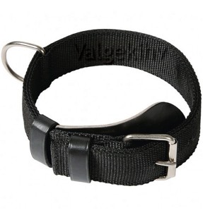 Mänguasi koerale, ogadega pall vinüülist, Ø 15 cm Vinyl Spiny Ball (Pawise)–Kummist pallid–Pawise–Valgekihv