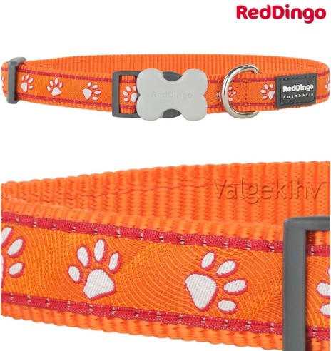 Kaelarihm koerale, disainmustriga Desert Paws Orange 20 mm (Red Dingo)