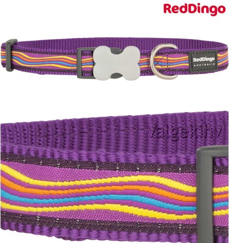 Kaelarihm koerale, disainmustriga Dreamstream Purple 20 mm (Red Dingo)