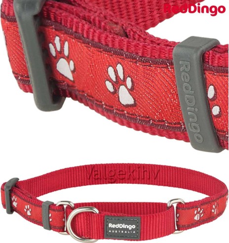 Kaelarihm koerale, poolpoov disainmustriga Desert Paws Red 20 mm (Red Dingo)