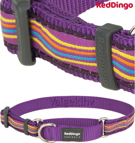 Kaelarihm koerale, poolpoov disainmustriga Dreamstream Purple (Red Dingo)