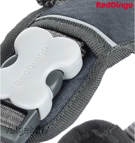 Traksid koerale vooderdatud Padded Harness Grey (Red Dingo)