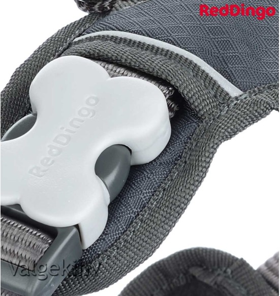 Traksid koerale vooderdatud Padded Harness Grey (Red Dingo)