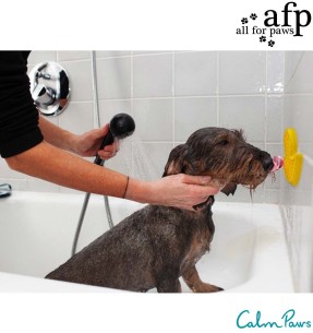 Kaks-ühes grooming kinnas, 2 in 1 Grooming Glove (Pawise)–Pesemistarvikud–Pawise–Valgekihv 2