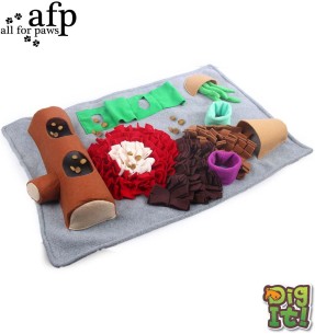 Игрушка для собаки с присоской Cactus Medium Rubber Orange (AFP - Dental Dog Chews) – Hambaid puhastavad – AFP - All For Paws – Valgekihv 2