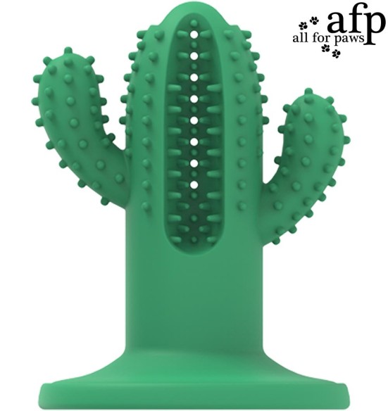 Mänguasi kutsikale Cactus Large Rubber Green (AFP - Dental Dog Chews)