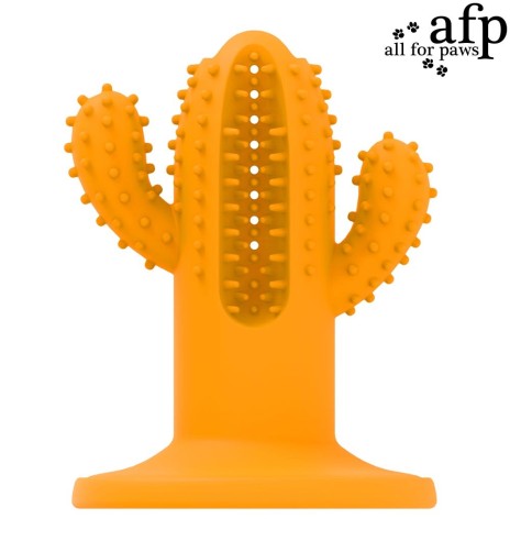 Mänguasi koerale Cactus Medium Rubber Orange (AFP - Dental Dog Chews)