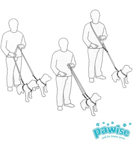 Jalutusrihm koerale, mitmefunktsiooniline, 20 mm x 1,82 m (Pawise)