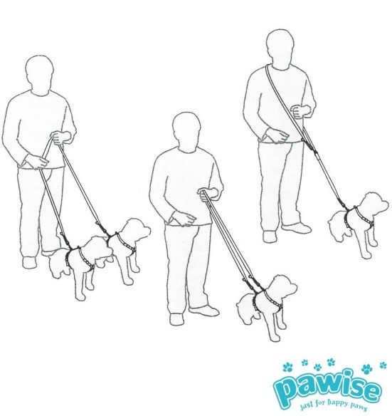 Jalutusrihm koerale, mitmefunktsiooniline, 20 mm x 1,82 m (Pawise)