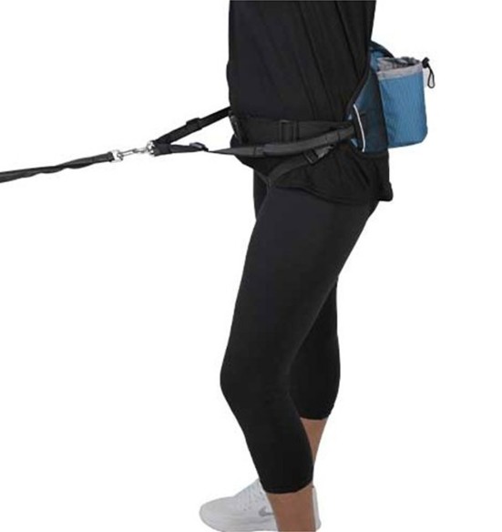 Пояс для бега с собакой и поводок Blue Jogging Belt and lead (Doogy)