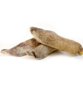 Tirimisvastased traksid koerale, punane (Red Dingo)–Tirimisvastased traksid–Red Dingo–Valgekihv 2