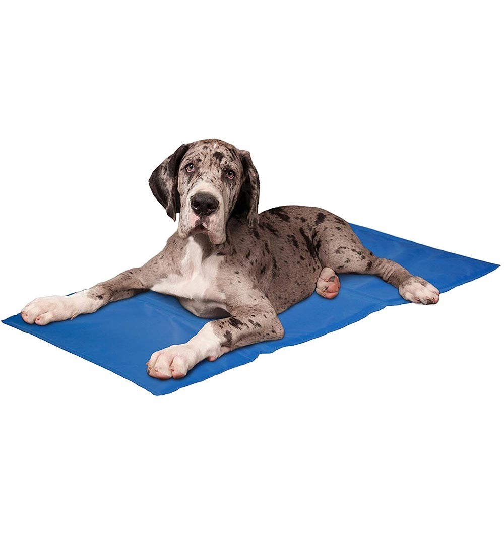 pawise cooling mat