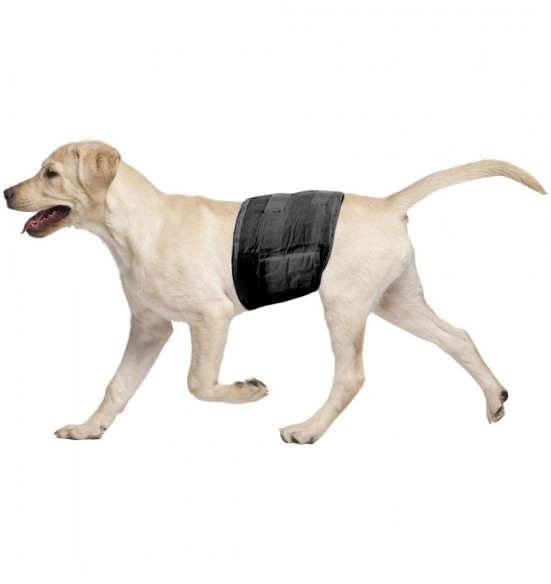 Mähkmed isastele koertele, ühekordselt kasutatavad, mustad (Pawise)