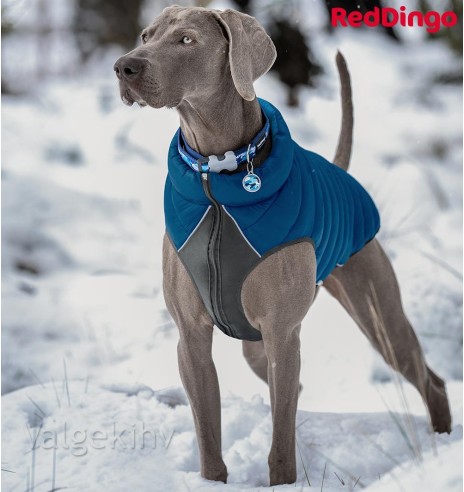 Теплая зимняя куртка для собак, двусторонняя, синяя Puffer Jacket (Red Dingo)