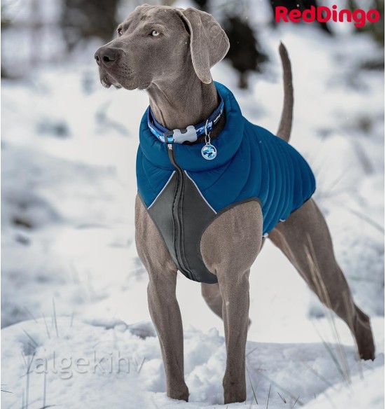 Теплая зимняя куртка для собак, двусторонняя, синяя Puffer Jacket (Red Dingo)