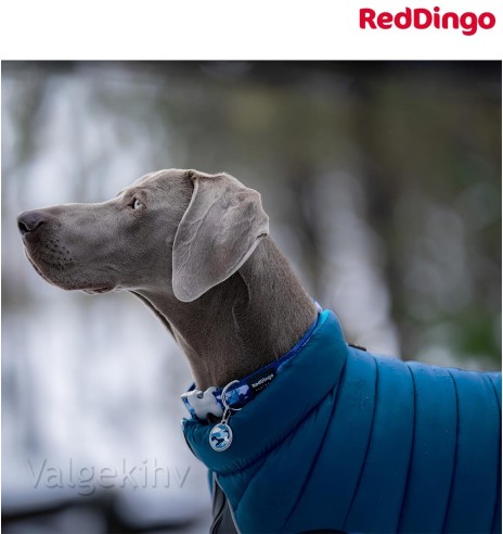 Теплая зимняя куртка для собак, двусторонняя, синяя Puffer Jacket (Red Dingo)