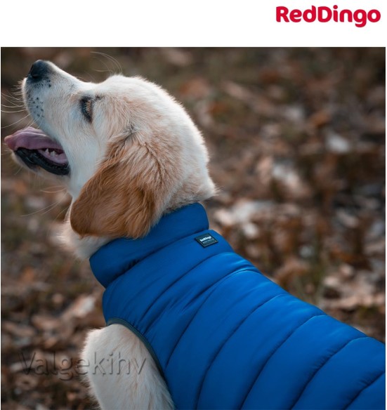 Soe jope koerale Puffer Jacket (Red Dingo)