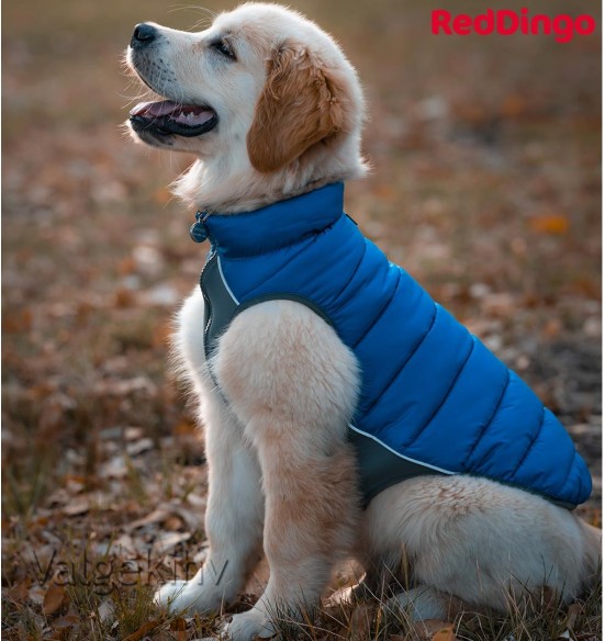 Теплая зимняя куртка для собак, двусторонняя, синяя Puffer Jacket (Red Dingo)
